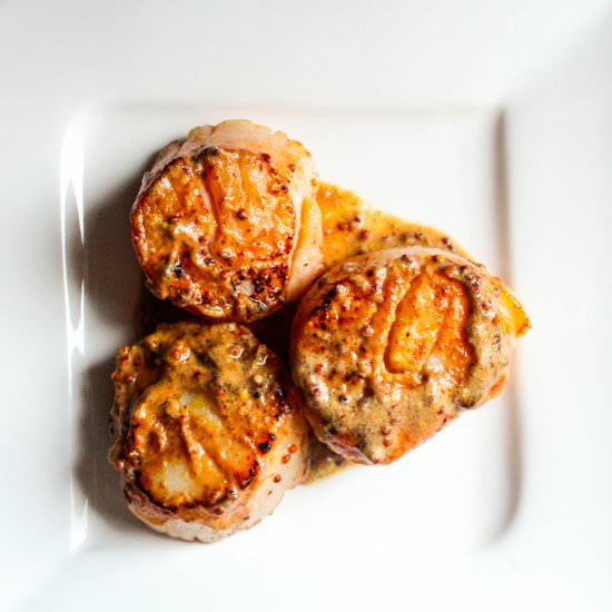 Scallops - Recipe photo by Lisa G Cooks