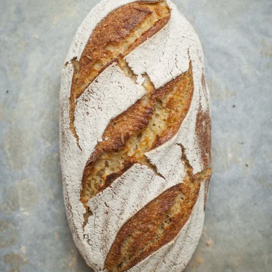 Corn sourdough bread - Recipe photo by mydailysourdoughbread
