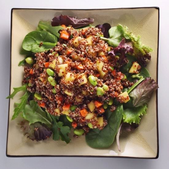 Asian Quinoa Salad - Recipe photo by Sprinkles and Sauce
