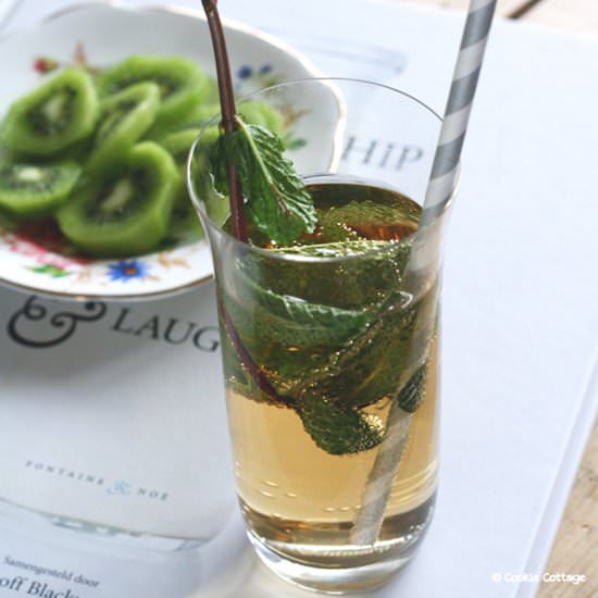 Ginger Ale with Mint - Recipe photo by Cookie Cottage