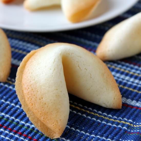 Homemade Fortune Cookies - Recipe photo by thesemisweetsisters