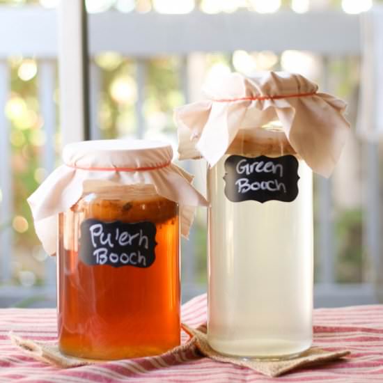 3 Steps To Start Making Kombucha - Recipe photo by Fermentedfoodlab