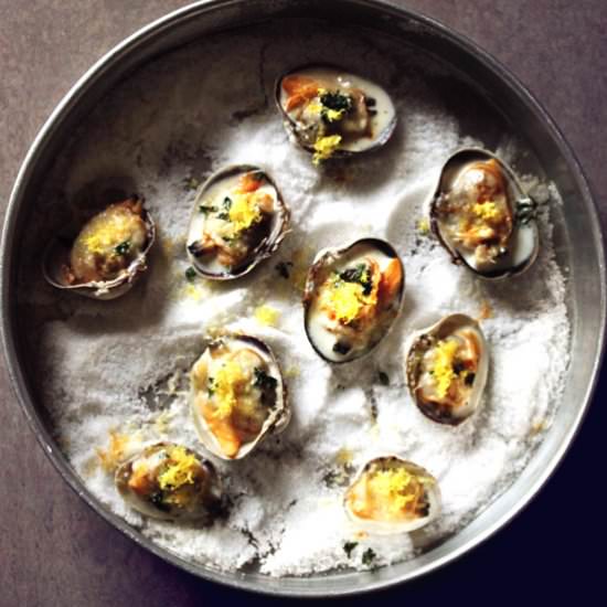 Clams with lemon thyme and parmesan - Recipe photo by Rhubarbarians