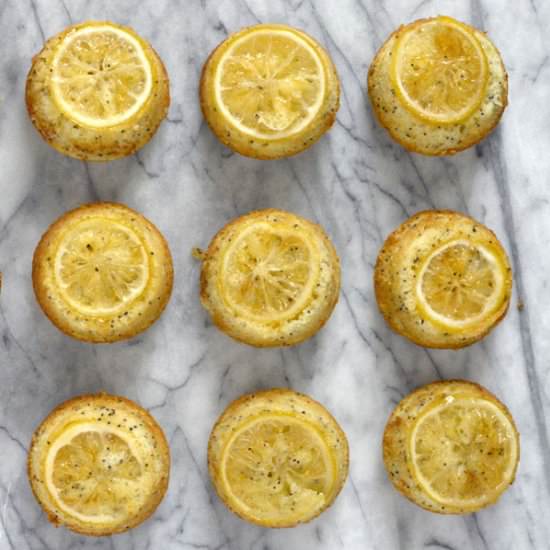 Individual Lemon Poppy Seed Cakes - Recipe photo by setonh