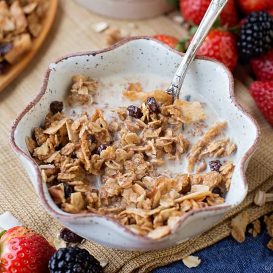 Oatmeal Cookie Granola - Recipe photo by Life Made Simple