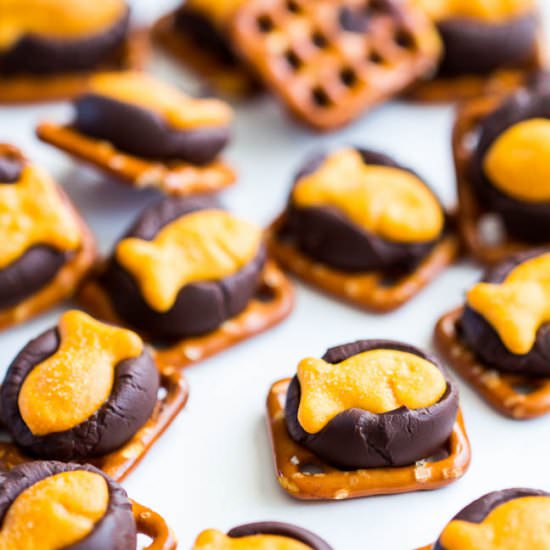 Chocolate Goldfish Cracker Bites - Recipe photo by Shineshka
