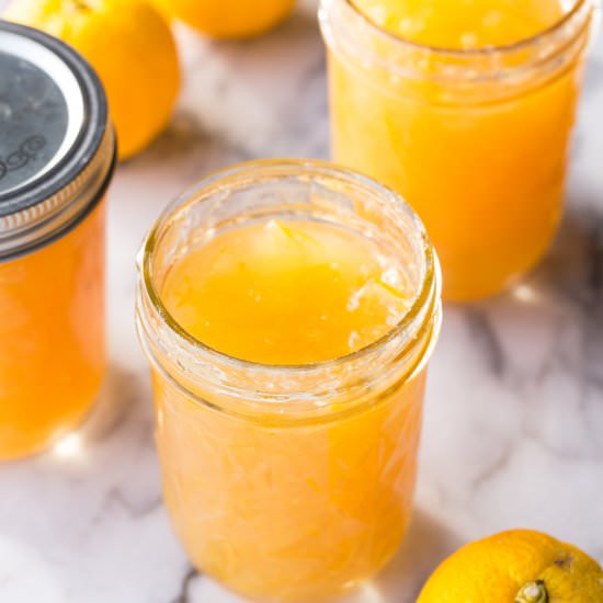 Yuzu Marmalade - Recipe photo by Just One Cookbook
