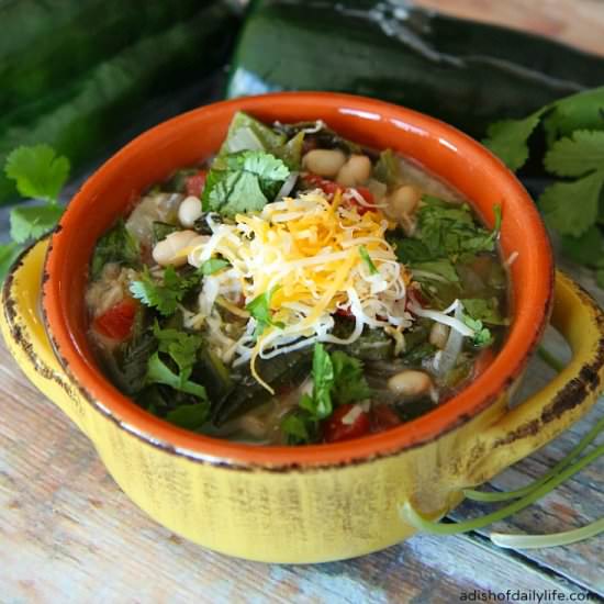 Spicy Pork Green Chile Stew - Recipe photo by DishofDailyLife