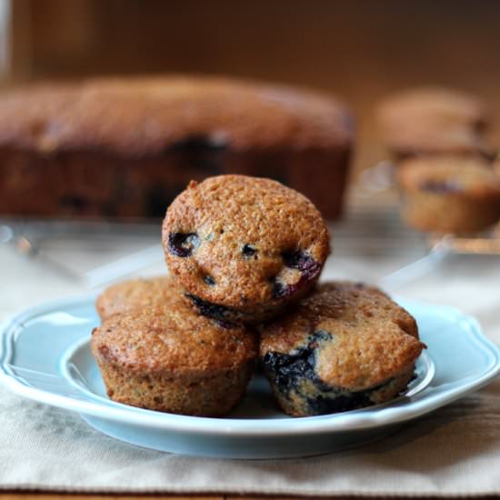 Blueberry zucchini muffins - Recipe photo by OnlyFromScratch