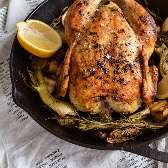 Castiron Skillet-Roasted Chicken - Recipe photo by lizmcavoy