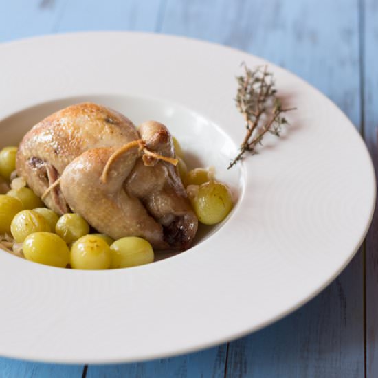 Quails with White Grapes - Recipe photo by frenchgirlcuisine