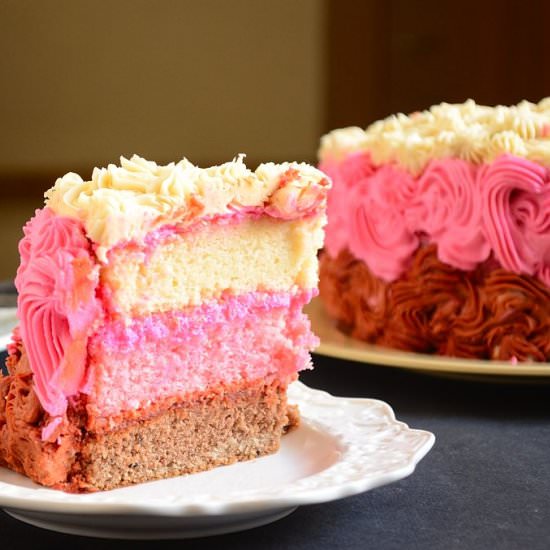 Neapolitan Cake - Recipe photo by currytrail