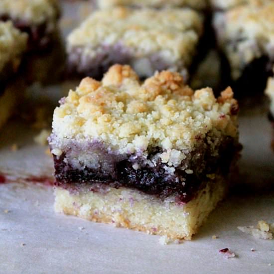 Blueberry Crumble Bar - Recipe photo by oh_sweet_day