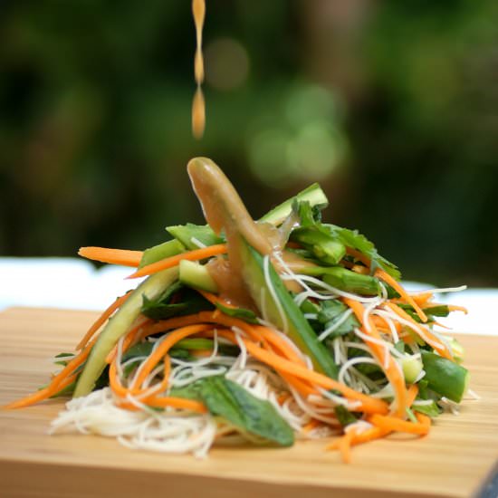 Noodle Salad with Peanut Dressing - Recipe photo by SouthernInLaw