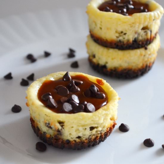 Mini Salted Caramel Cheesecakes - Recipe photo by emilyfranceschini
