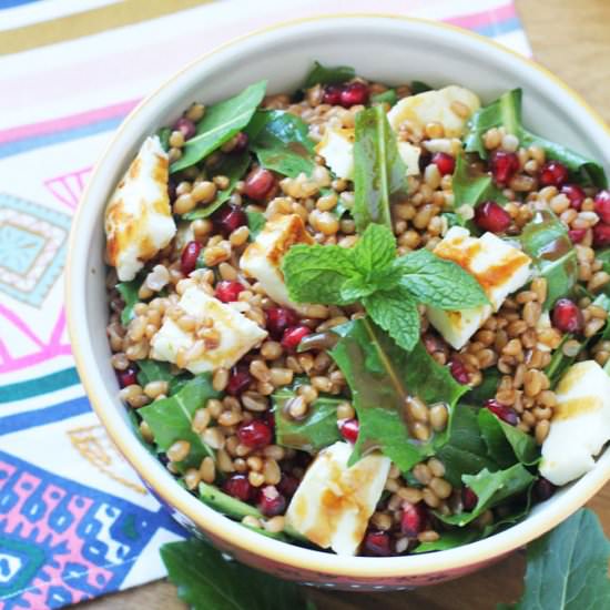 Pan-Fried Halloumi and Wheat Berry - Recipe photo by jjbegonia