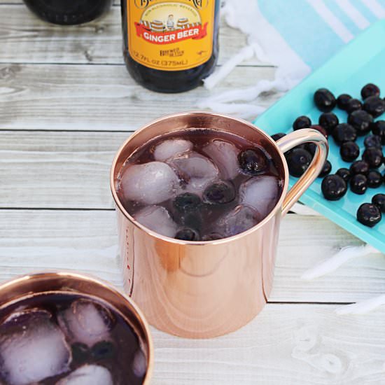 Blueberry Moscow Mule - Recipe photo by Lipglosscrayons