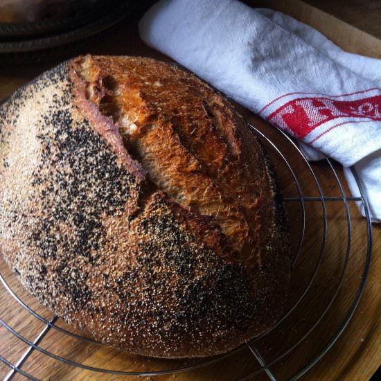 Wholemeal Sourdough Loaf - Recipe photo by selmastable