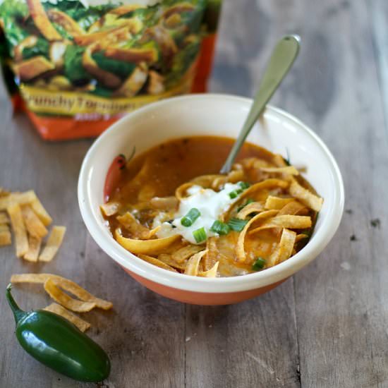 Chicken Tortilla Soup - Recipe photo by joyful scribblings