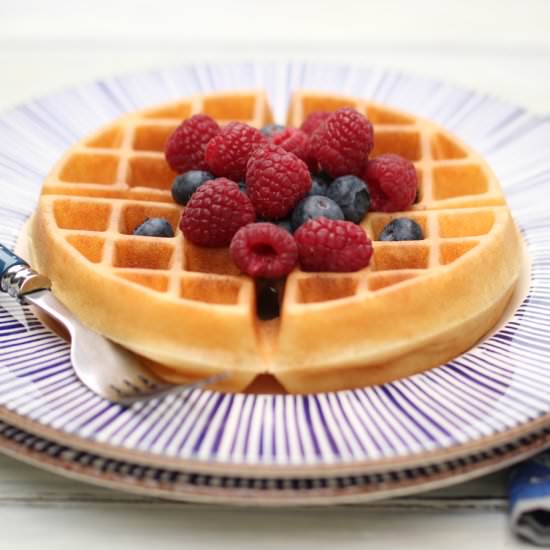 Best Gluten Free Waffles - Recipe photo by nurturemygut