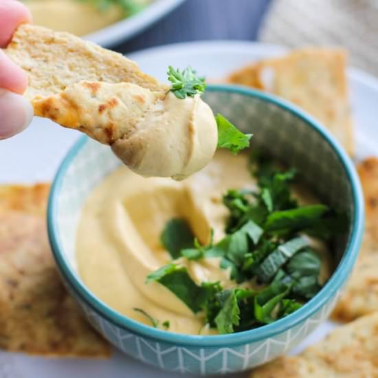 Butternut Squash Goat Cheese Dip - Recipe photo by Julies Jazz