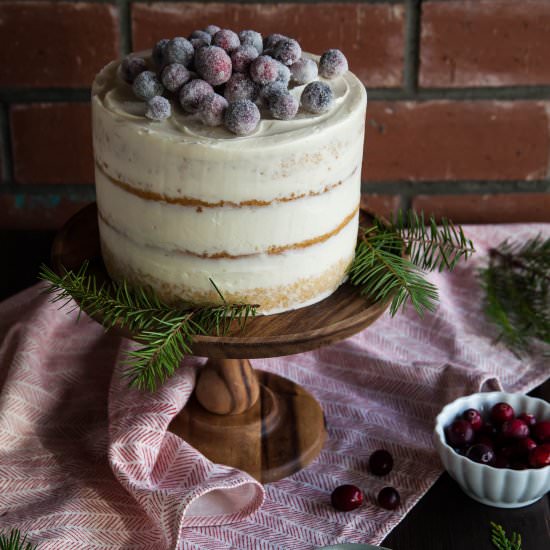 Sparkling Cranberry Cake - Recipe photo by Style Sweet CA
