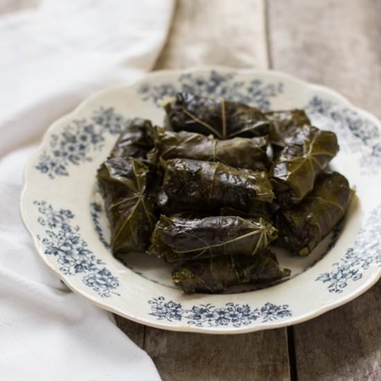 Stuffed Grape Leaves - Recipe photo by chilliczosnekioliwa