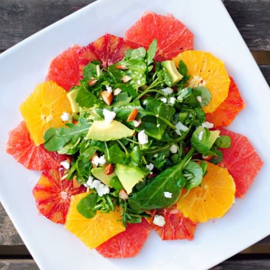 Mixed Citrus Salad - Recipe photo by chubbysoul