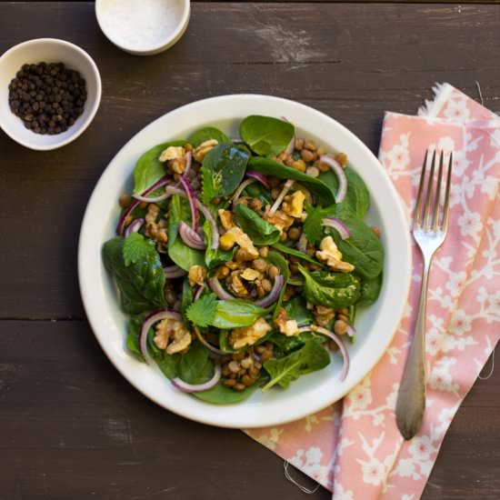 Green Lentil Salad - Recipe photo by chilliczosnekioliwa