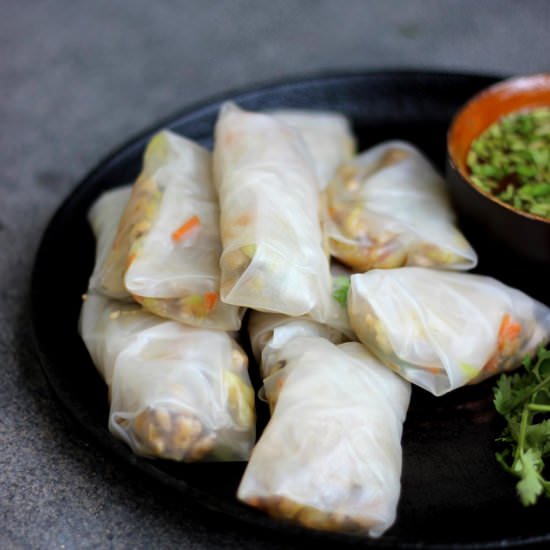 Chinese Chicken Spring Rolls - Recipe photo by indugetscooking
