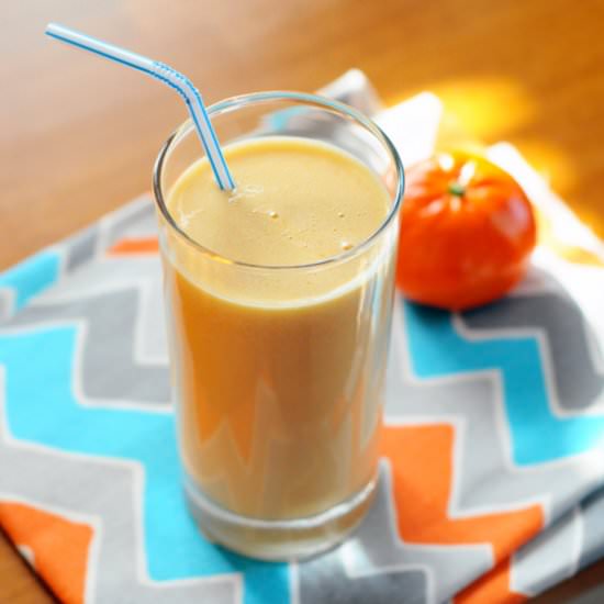 Rise & Shine Clementine Smoothie - Recipe photo by theminiaturemoose