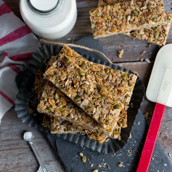 Seedy Adventure Granola Bars - Recipe photo by beckysuebakes