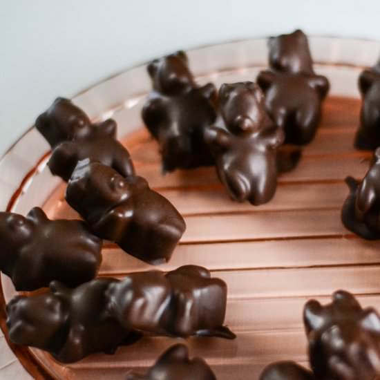 Chocolate Covered Bears - Recipe photo by Frommetovuu
