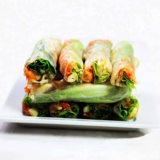 Vietnamese Summer Rolls - Recipe photo by iamchef