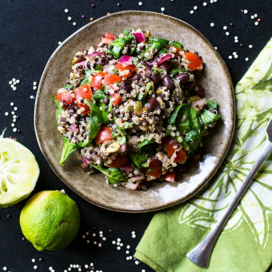 Zesty Cilantro Lime Quinoa Salad - Recipe photo by Poppies and Papayas
