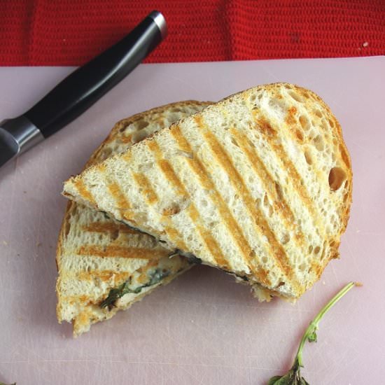 Chicken Mozzarella Basil Panini - Recipe photo by Simply Playful Fare