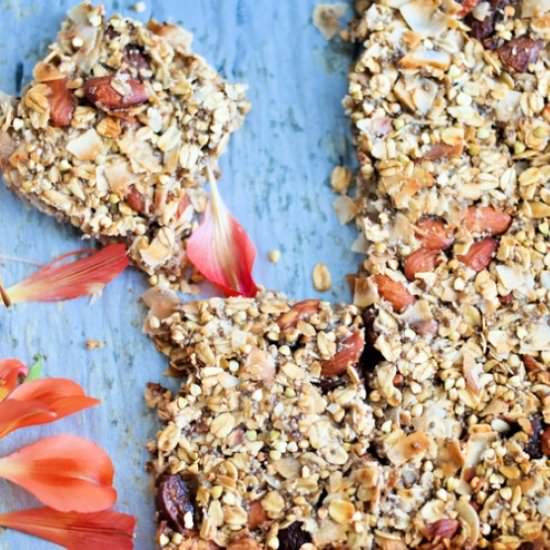 Apricot and Coconut Bars - Recipe photo by 8th and lake
