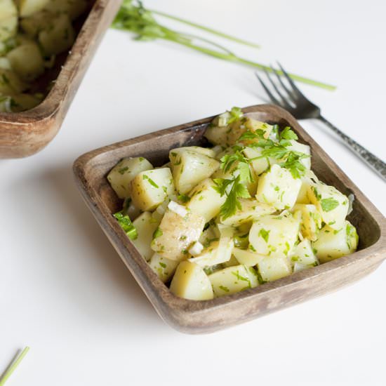 Fresh Lemon Parsley Potato Salad - Recipe photo by sprouting healthy habits