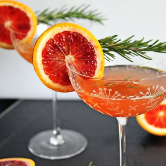 Blood Orange Rosemary Gin Cocktail - Recipe photo by Rhubarbarians