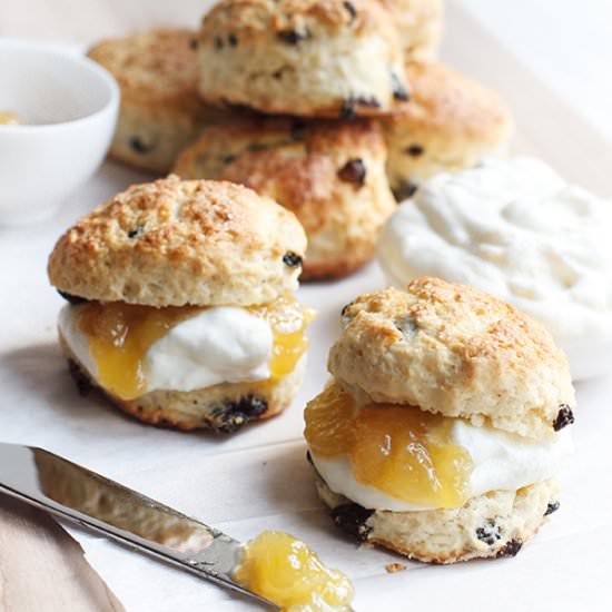 Ginger Currant Scones - Recipe photo by FigandHoney