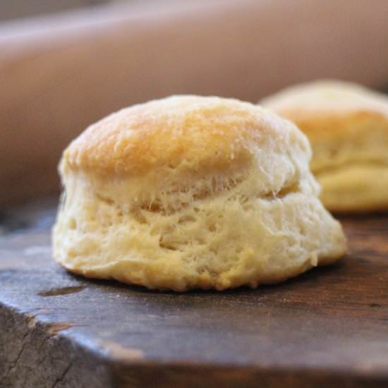 Flaky Buttermilk Biscuits - Recipe photo by cassieskitchen