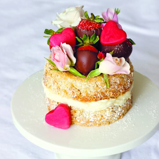 Vegan Valentine's Day Cake - Recipe photo by TreeseLoveHappiness