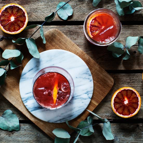 Icelandic Birch Cocktail - Recipe photo by ModernWifestyle