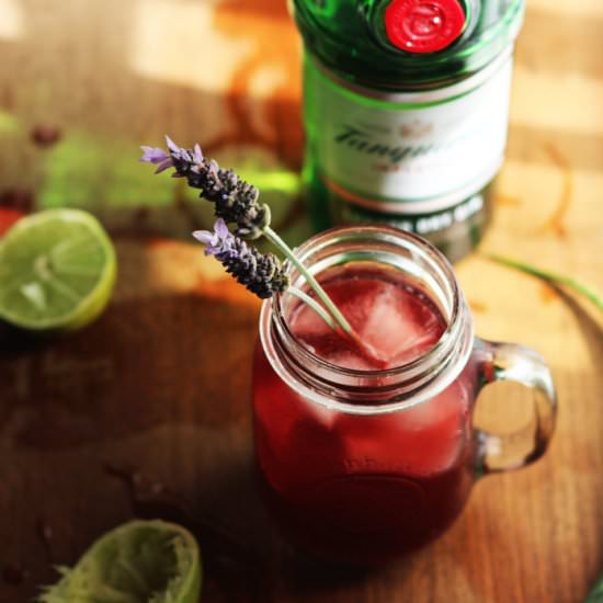 Pomegranate Gin-Bucha Cocktail - Recipe photo by TheFreeSpirited