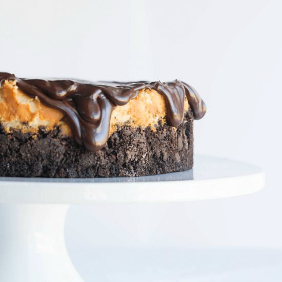 Chocolate Ganache Cheesecake - Recipe photo by Amy in the Kitchen