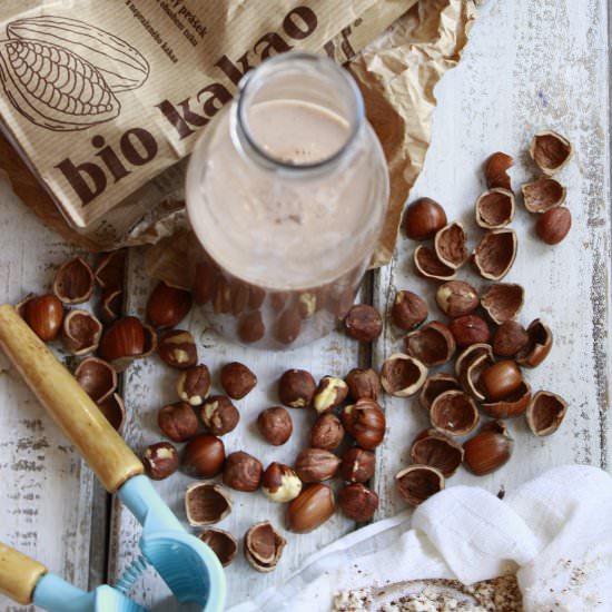 Hazelnut Chocolate Milk (Vegan) - Recipe photo by delicious.blog