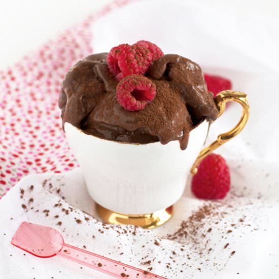 Lactose Free Chocolate Ice Cream - Recipe photo by Shadesof Cinnamon