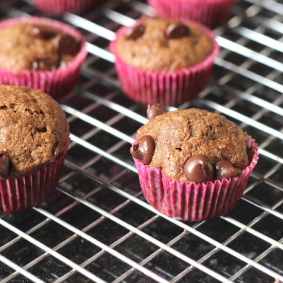 Chocolate Banana Breakfast Muffins - Recipe photo by practical-stewardship