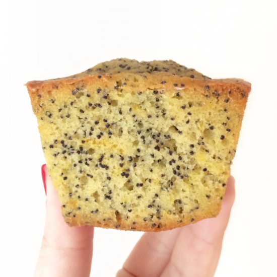 Lemon and Poppy Seed Cake - Recipe photo by IFeelCook