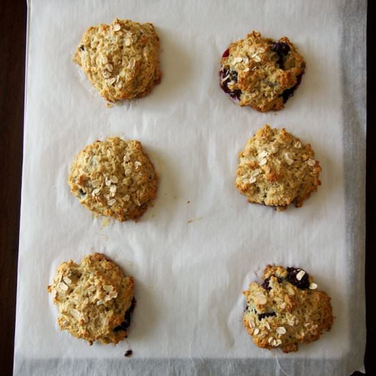 Blackberry Oatmeal Scones - Recipe photo by doublethyme